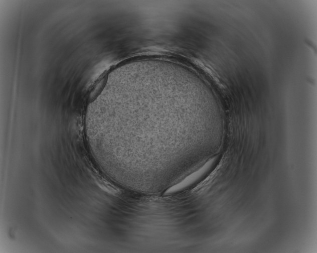 X0000092041355200710100950