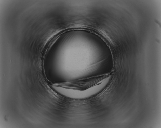 X0000092041356200710100950