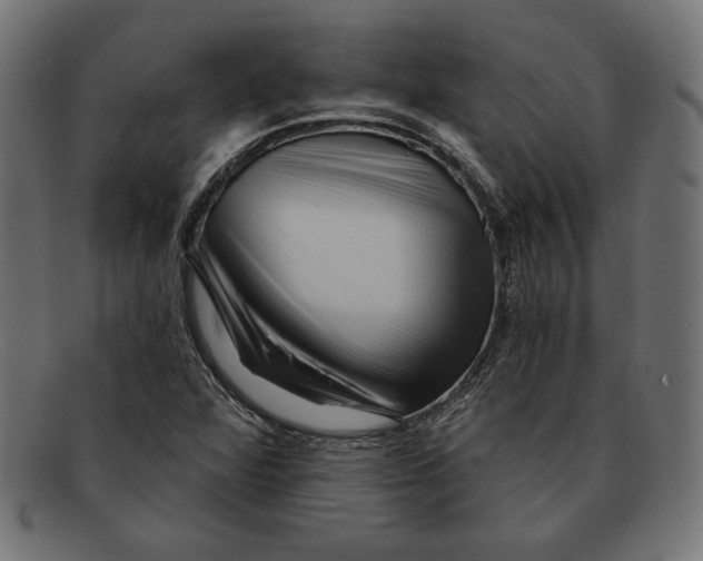 X0000092041360200710100950