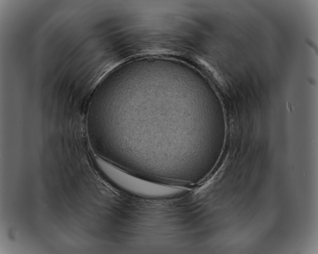 X0000092041361200710100950