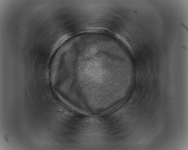 X0000092041362200710100950