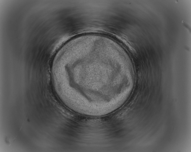 X0000092041363200710100950