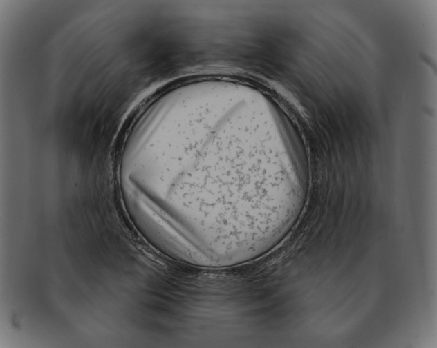 X0000092041364200710100950