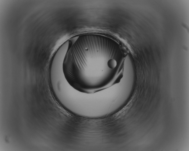 X0000092041365200710100950