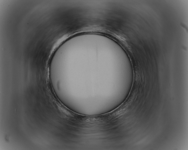 X0000092041366200710100950