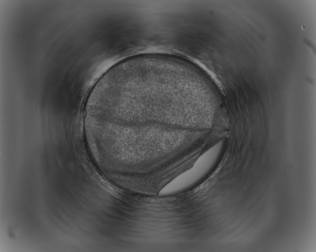 X0000092041367200710100950