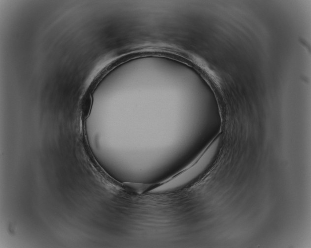 X0000092041368200710100950