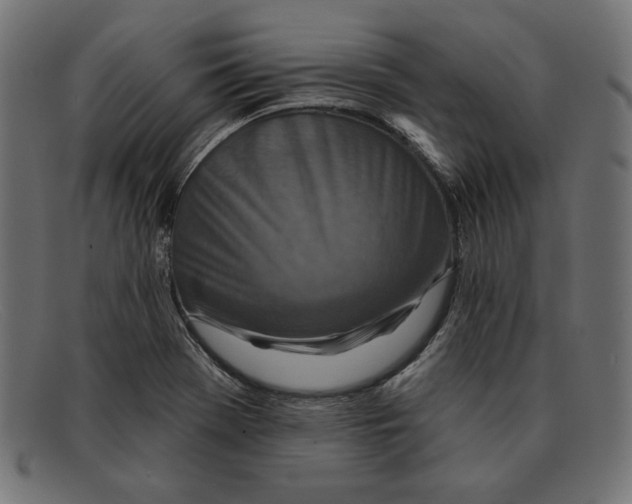 X0000092041369200710100950