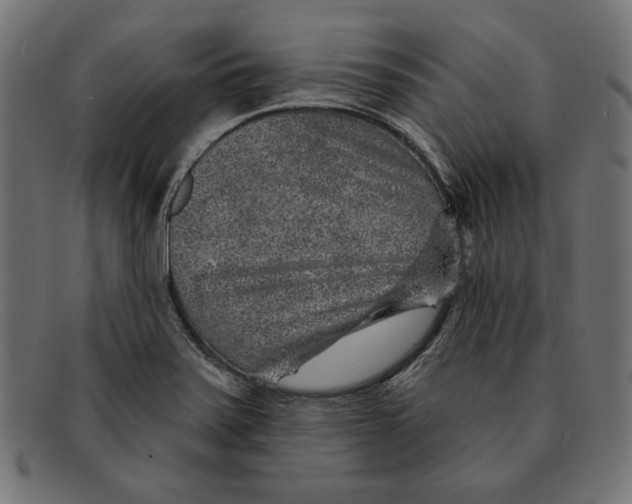 X0000092041371200710100950