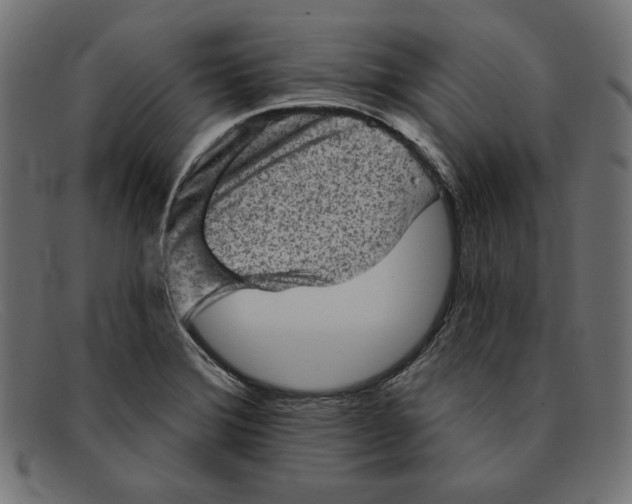 X0000092041372200710100950