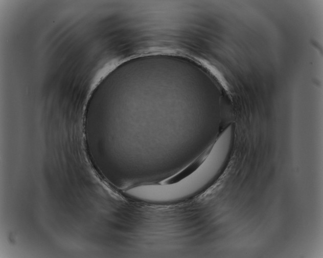 X0000092041373200710100950