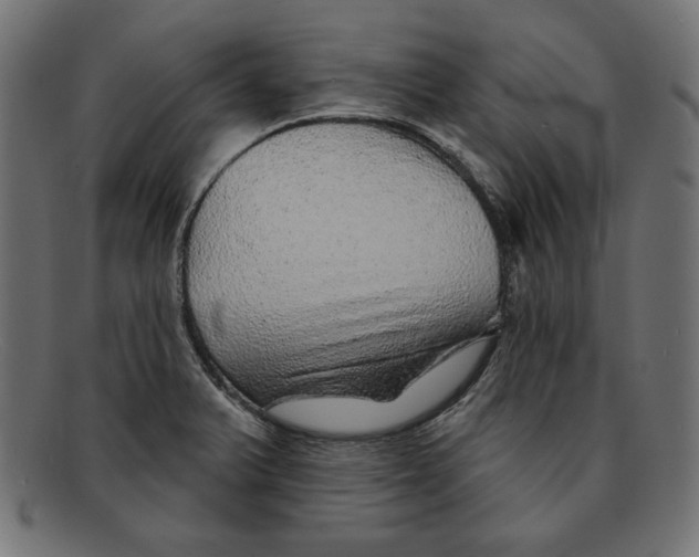 X0000092041375200710100950