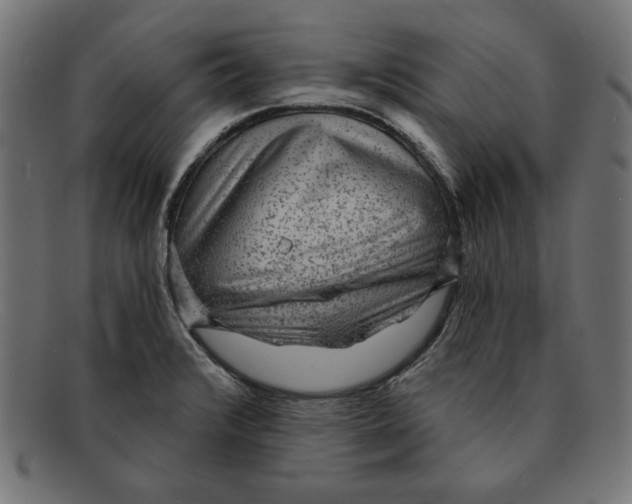 X0000092041376200710100950