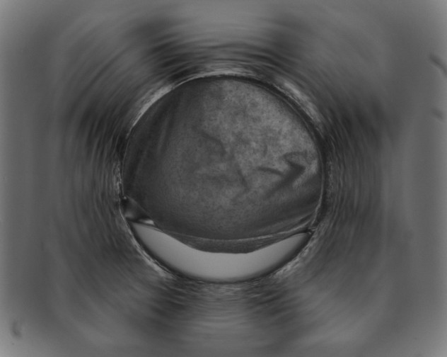 X0000092041377200710100950