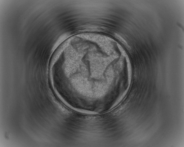 X0000092041378200710100950