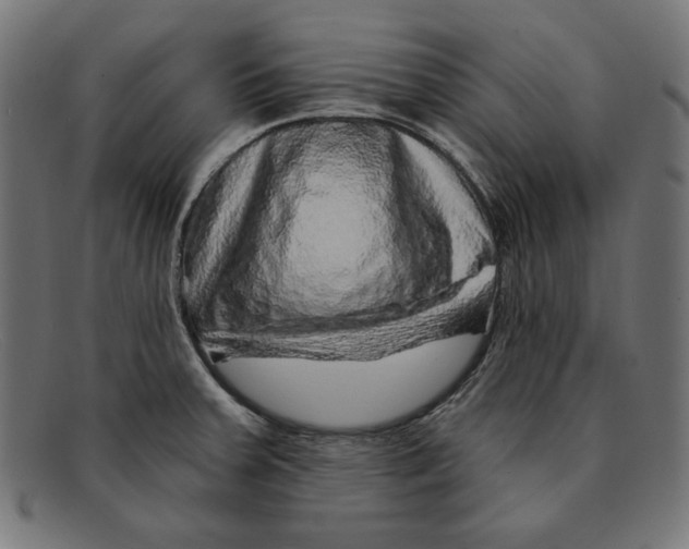 X0000092041379200710100950