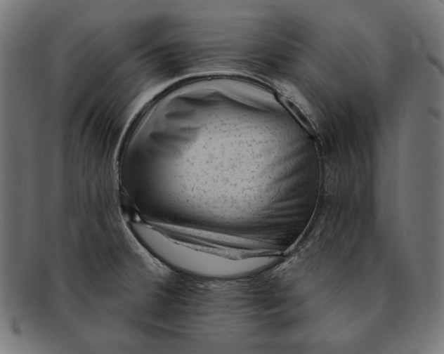 X0000092041380200710100949