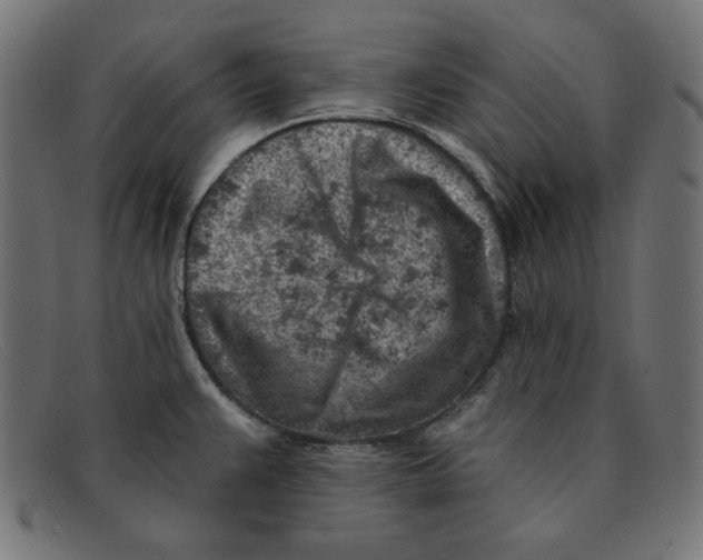 X0000092041383200710100949