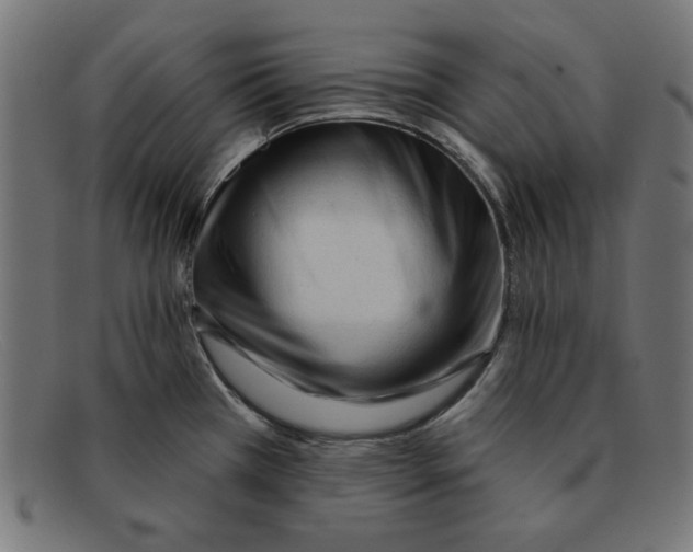 X0000092041385200710100949