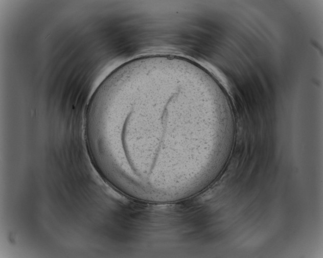 X0000092041390200710100949