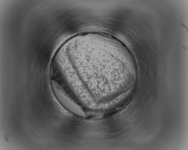 X0000092041392200710100949