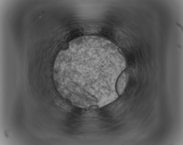 X0000092041393200710100949