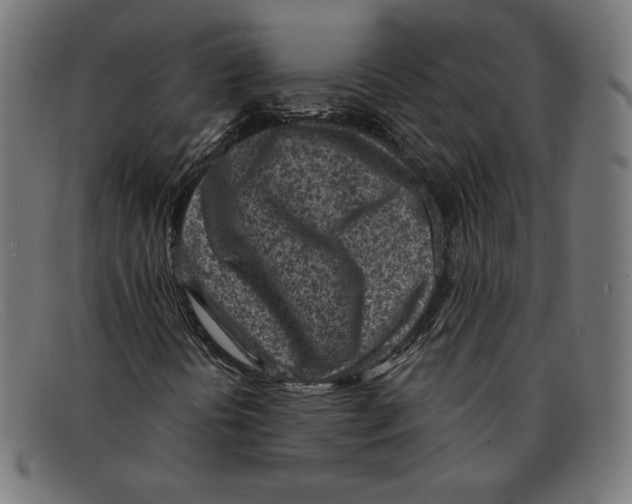 X0000092041394200710100949