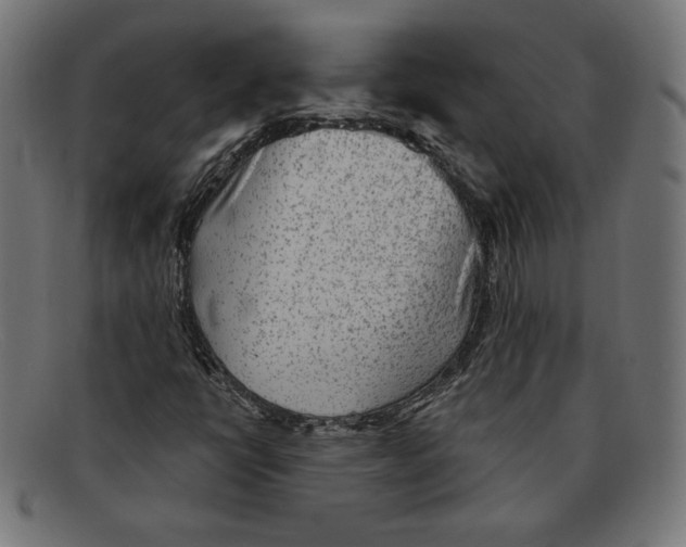 X0000092041398200710100949