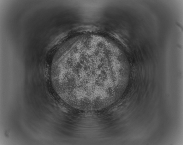 X0000092041399200710100949