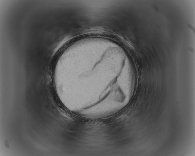 X0000092041400200710100949