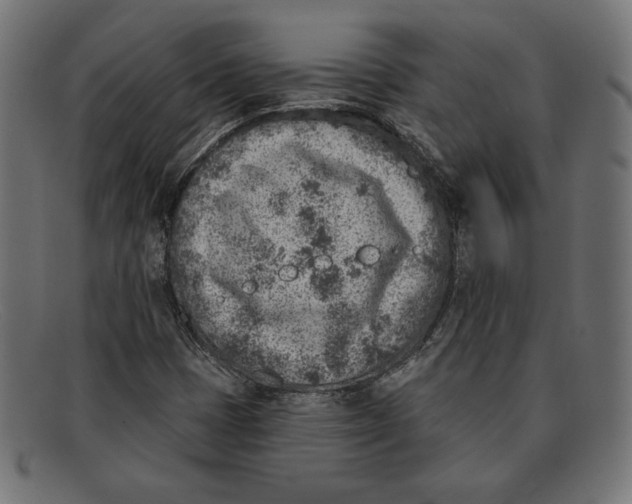 X0000092041401200710100949