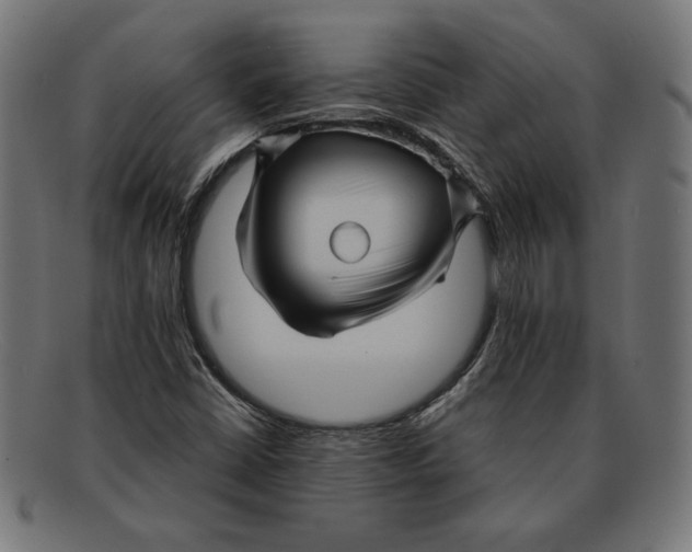 X0000092041402200710100949