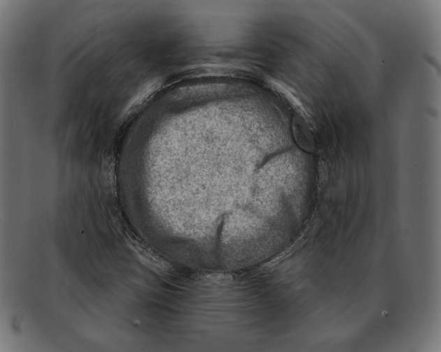 X0000092041403200710100949