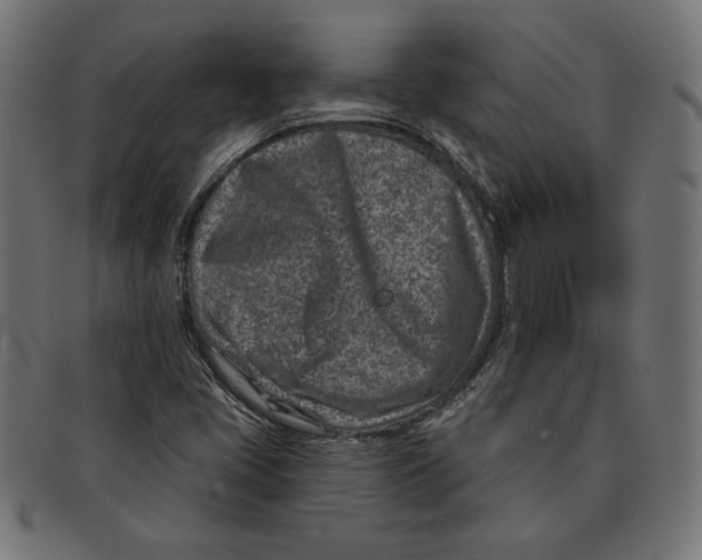 X0000092041405200710100949