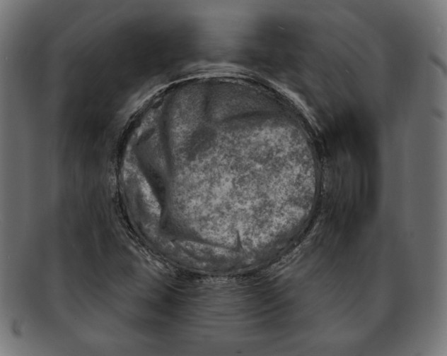 X0000092041407200710100949