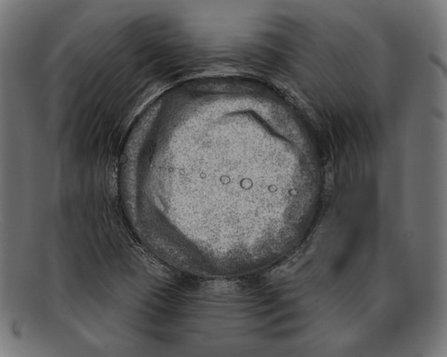 X0000092041409200710100949