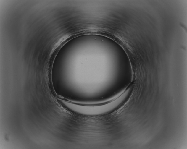 X0000092041410200710100949