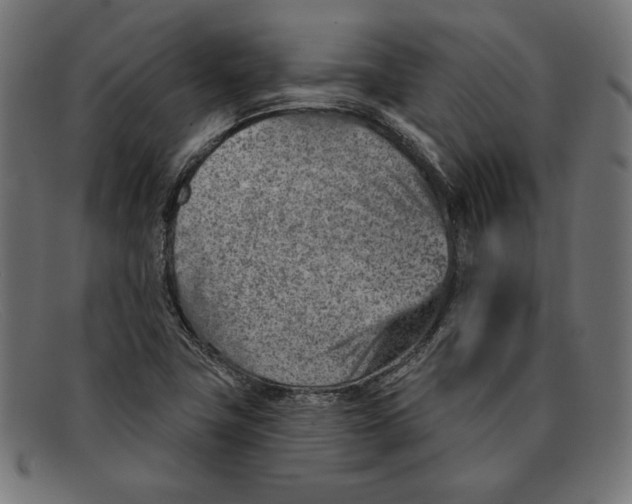 X0000092041411200710100949