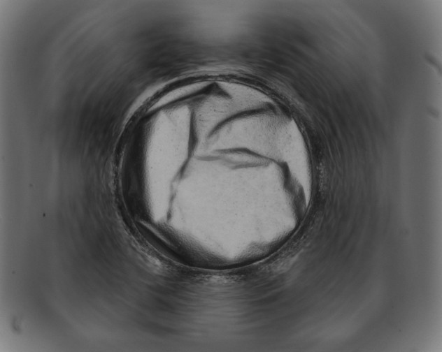 X0000092041412200710100949