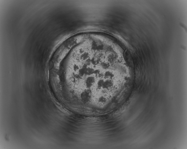 X0000092041413200710100949