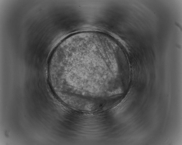 X0000092041415200710100949