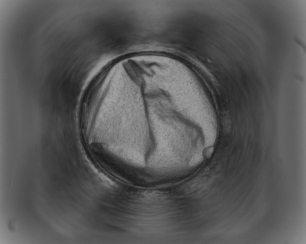 X0000092041416200710100949