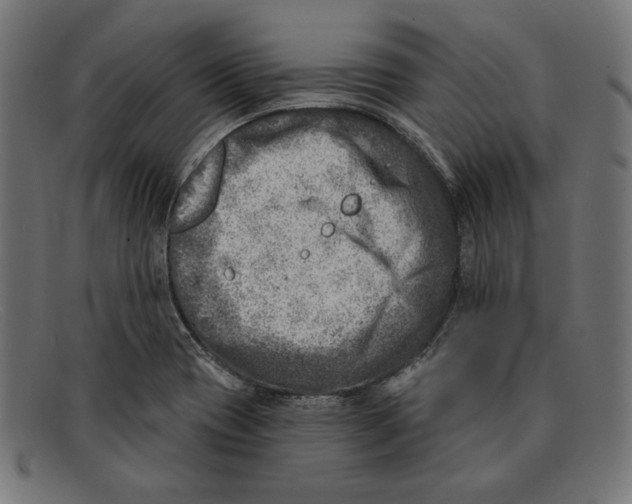 X0000092041417200710100949