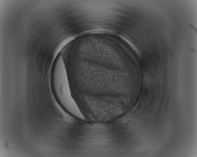 X0000092041418200710100949