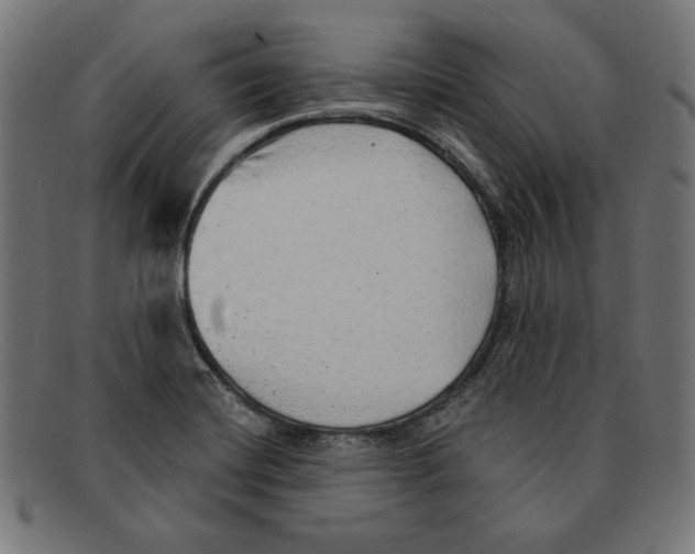 X0000092041420200710100949