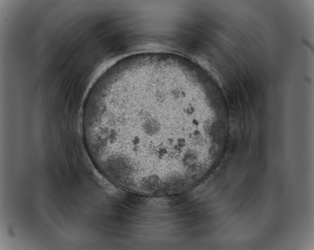 X0000092041421200710100949