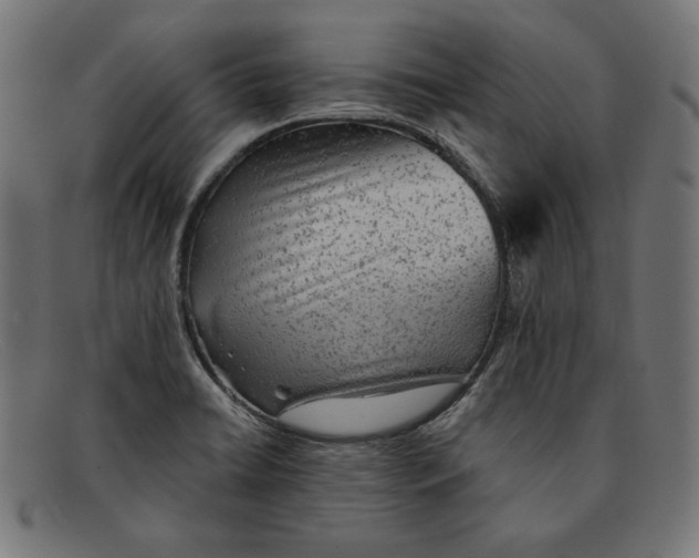 X0000092041422200710100949