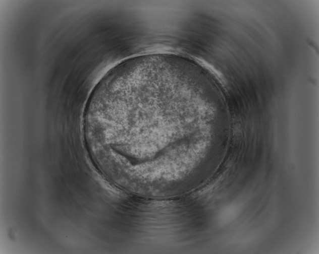 X0000092041423200710100949