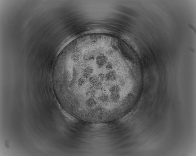 X0000092041425200710100949