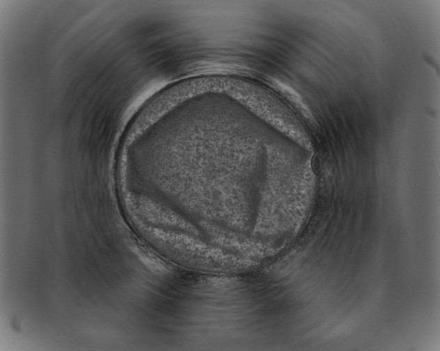 X0000092041427200710100949